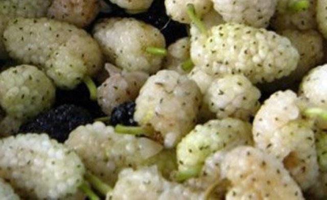 varene-lakomka varene-lakomka