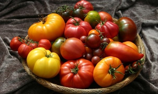 prigotovim-lecho-v-tomate.