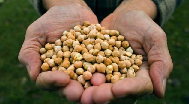 nut-polza-i-vred nut-polza-i-vred