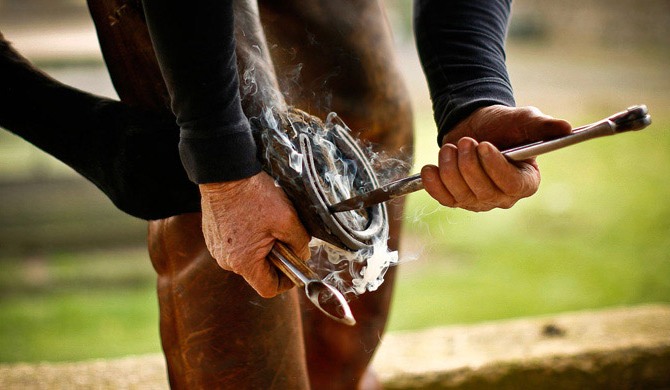 loknyanskaya-polyana loknyanskaya-polyana