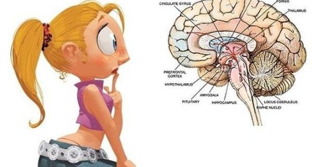 nut-polza-i-vred nut-polza-i-vred