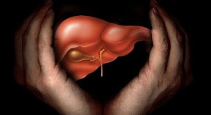 nut-polza-i-vred nut-polza-i-vred