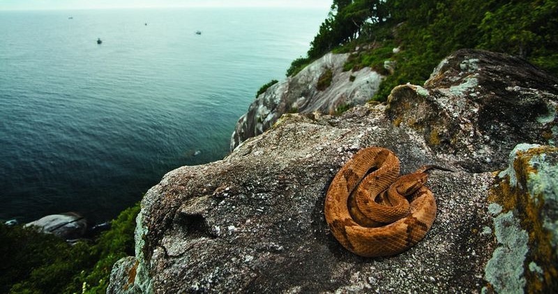 o-drugix-sekretnyx-mestax