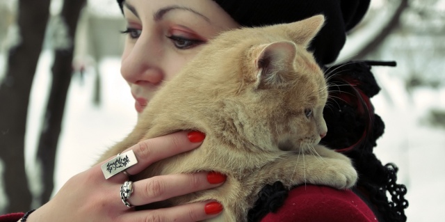 o-strizhke-domashnix-zhivotnyx