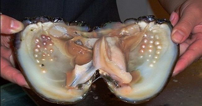 kakoj-byvaet-zhemchug