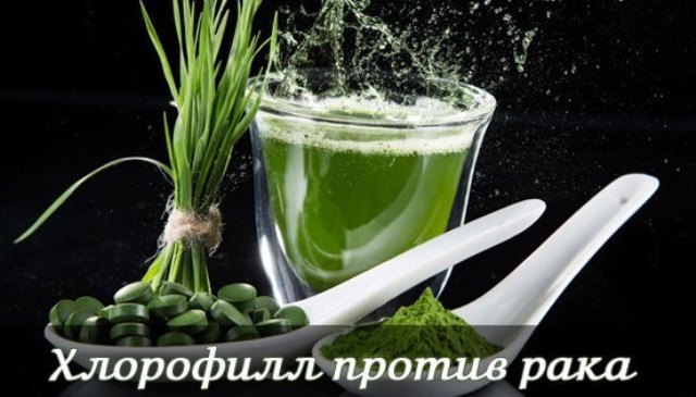 zelenye-vodorosli-xlorella