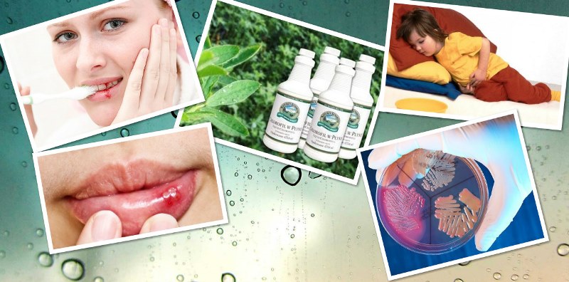 zelenye-vodorosli-xlorella