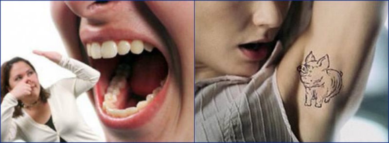 zelenye-vodorosli-xlorella