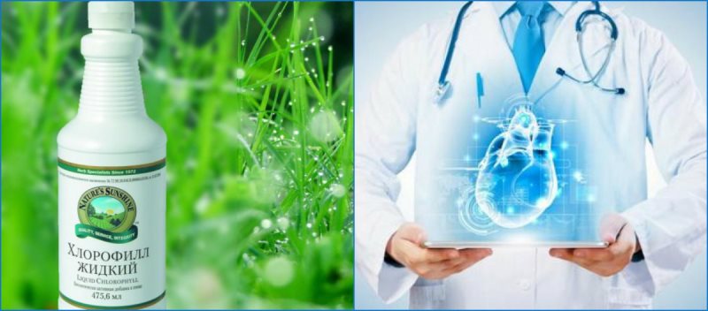 zelenye-vodorosli-xlorella