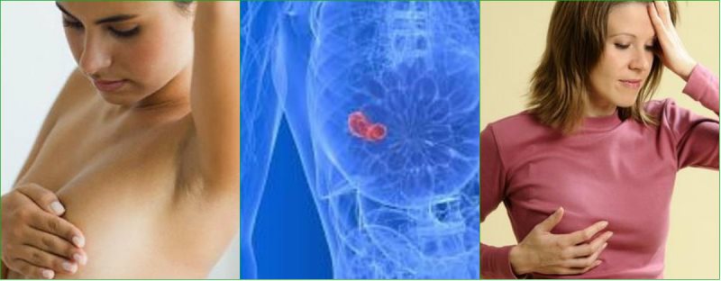 vodorosli-dlya-zdorovya