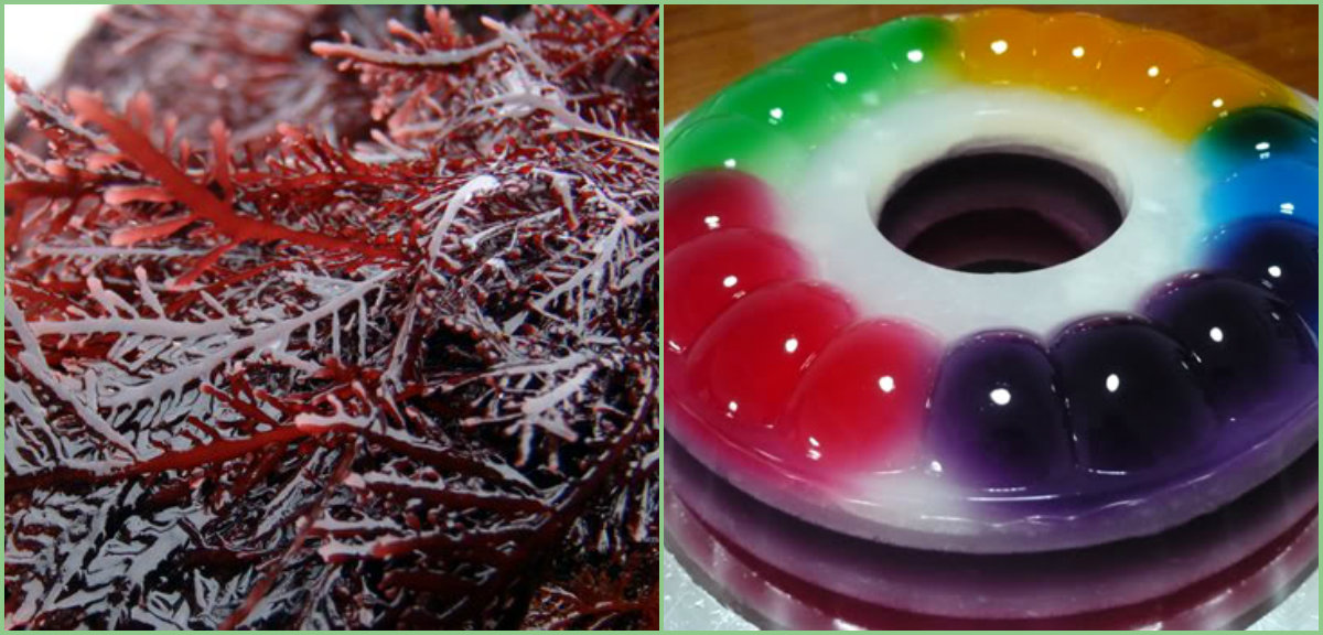 Водоросли для здоровья и в кулинарии