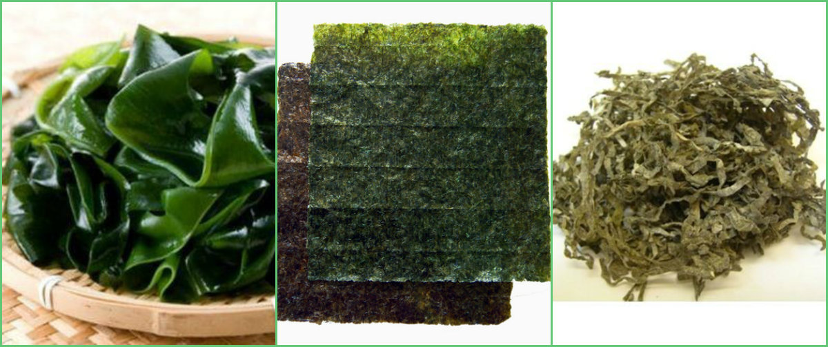 Водоросли для здоровья и в кулинарии