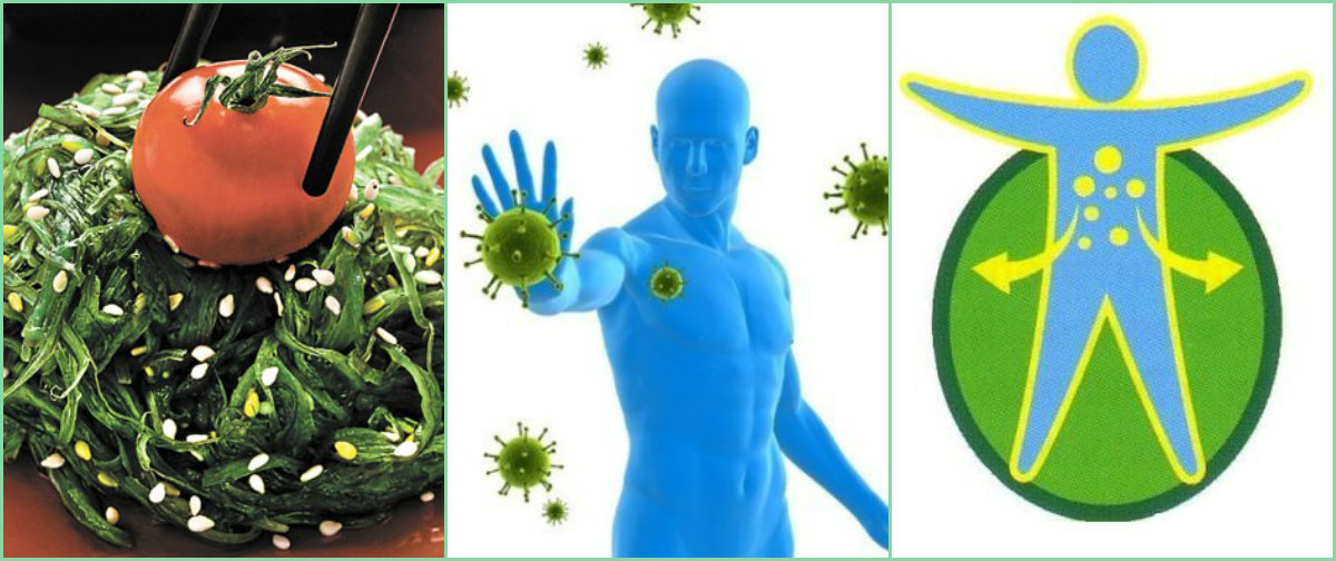 Водоросли для здоровья и в кулинарии