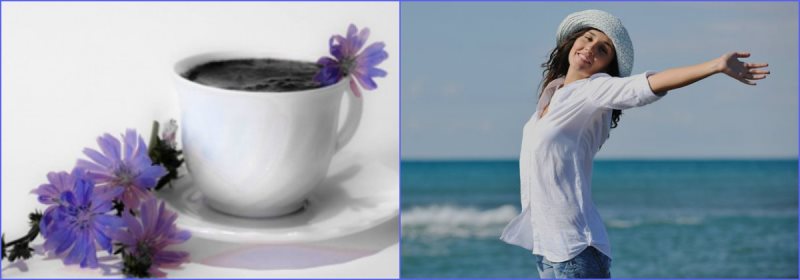 bodryashhij-kakao-s-cikoriem