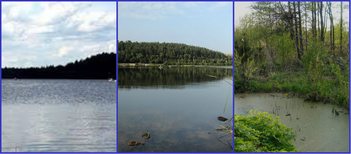 zagadochnye-sobytiya-na-bolotax